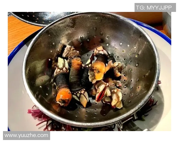 巴塞罗那探索之旅:文化、艺术与美食的完美交融 巴塞罗那探索之旅:文化、艺术与美食的完美交融