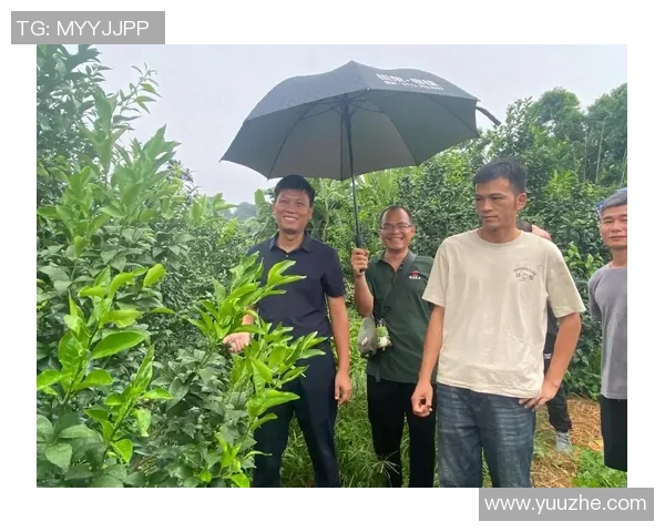 果园生态循环与可持续发展:从种植到收获的全链条探索与实践 果园生态循环与可持续发展:从种植到收获的全链条探索与实践