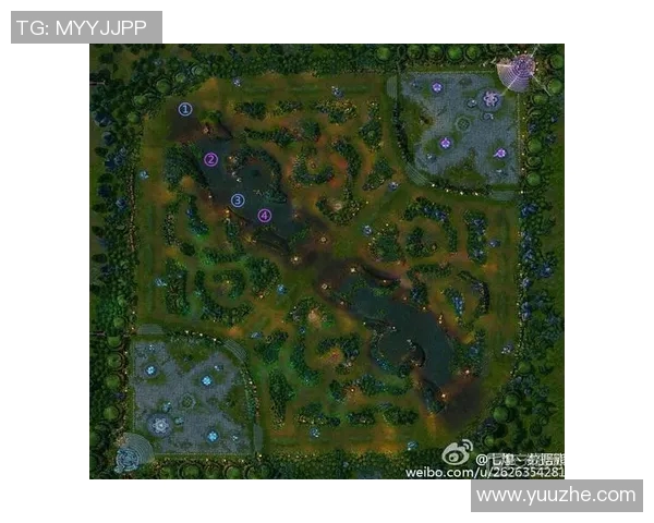 RNG包夹战术的优劣分析与对比赛结果的影响探讨 RNG包夹战术的优劣分析与对比赛结果的影响探讨