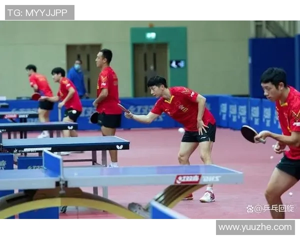 成都乒乓球队区域防守策略深度解析与实战应用探讨