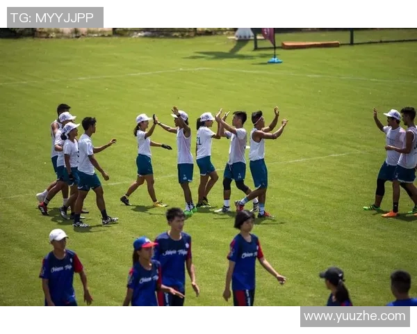成都飞盘队的节奏与战术分析探索飞盘运动的魅力与团队协作之道