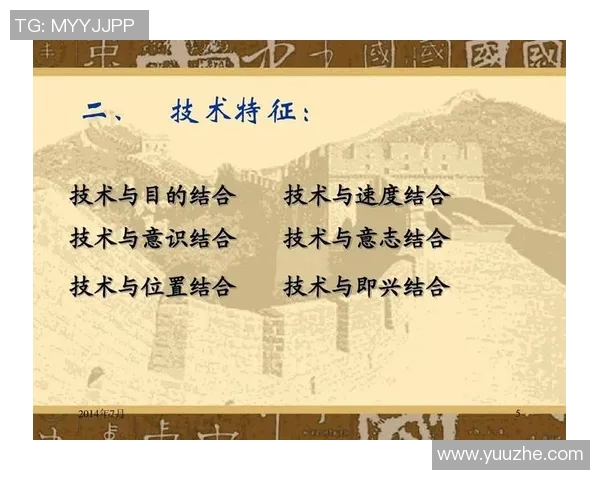 武汉足球队的速度分析与战术应用探讨