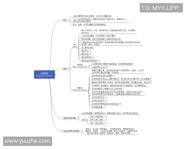 竞技体育的定义、发展与影响力分析：从竞技赛事到全民健身的全景探讨