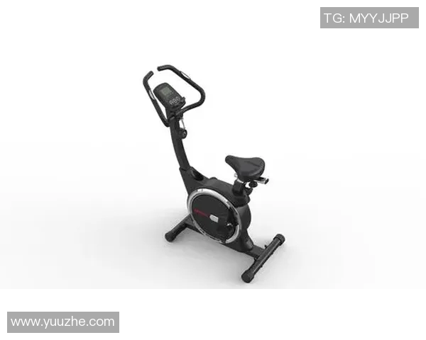 飞轮健身器材:运动与娱乐兼备的选择 飞轮健身器材:运动与娱乐兼备的选择