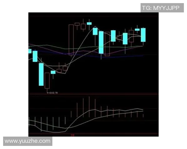 上海羽毛球队防守策略分析及其在比赛中的优缺点探讨